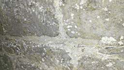 acastle
                          101805.jpg